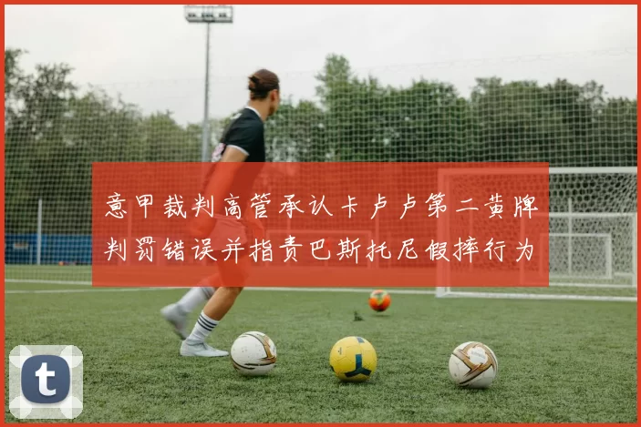 意甲裁判高管承认卡卢卢第二黄牌判罚错误并指责巴斯托尼假摔行为